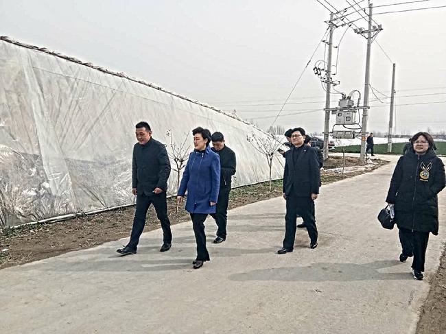 ѡ��3_2018-03-21_10_49_03